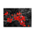 999Store Black and Red flower canvas Painting FLP0390