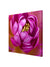 999Store Wooden Stretched Framed painting canvas wall paintings for bedroom Wall art living room décor with frames Beautiful Pink Rose modern stylish home hanging