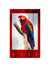 999Store wall hanger sticky hook holder wall mount hanger organizer Parrot key stand for wall