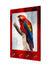 999Store wall hanger sticky hook holder wall mount hanger organizer Parrot key stand for wall